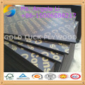 Construction Grade Plywood / Film Faced Plywood